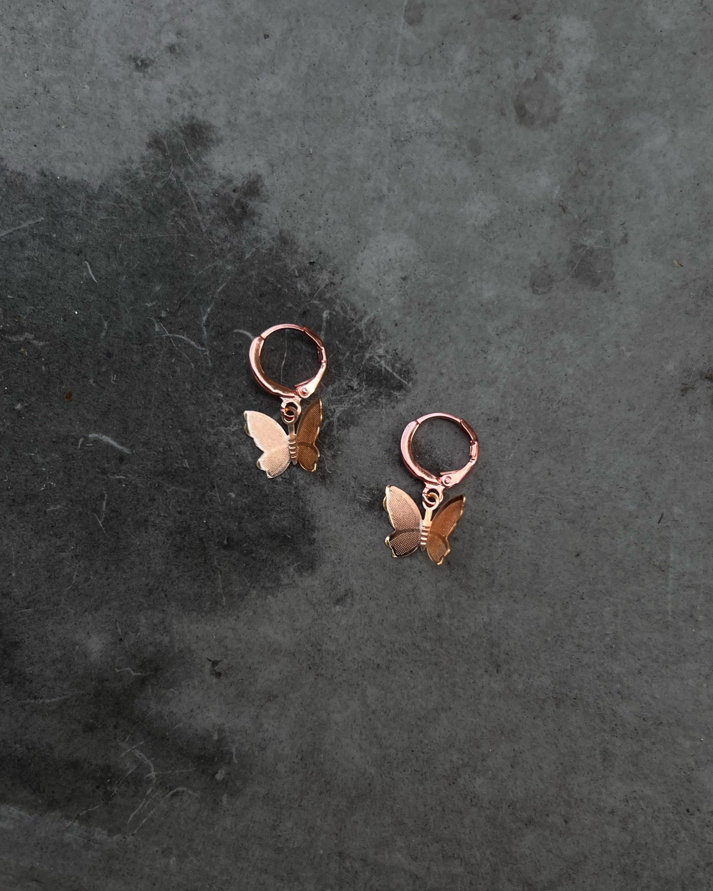 fragile wings drop earrings