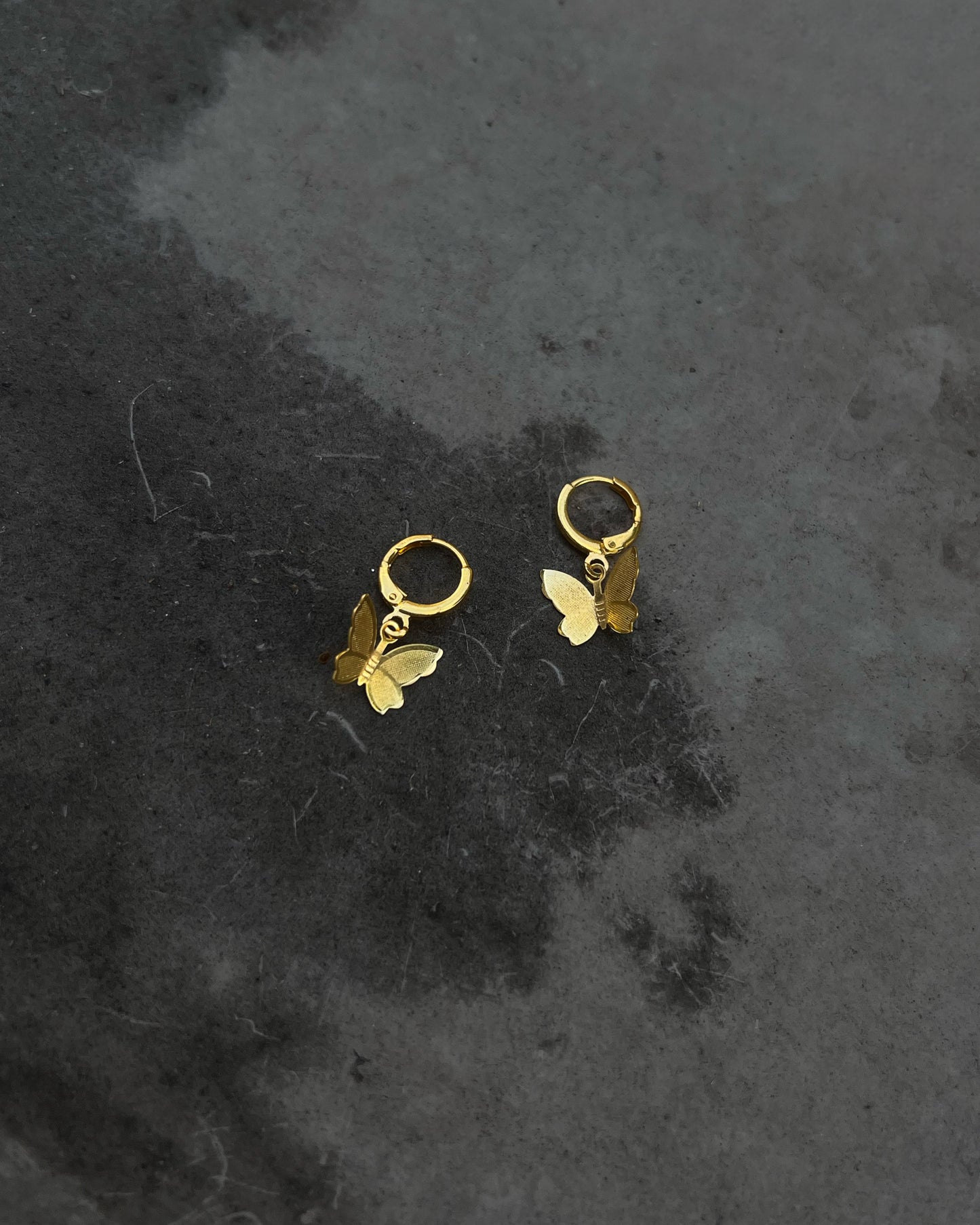 fragile wings drop earrings